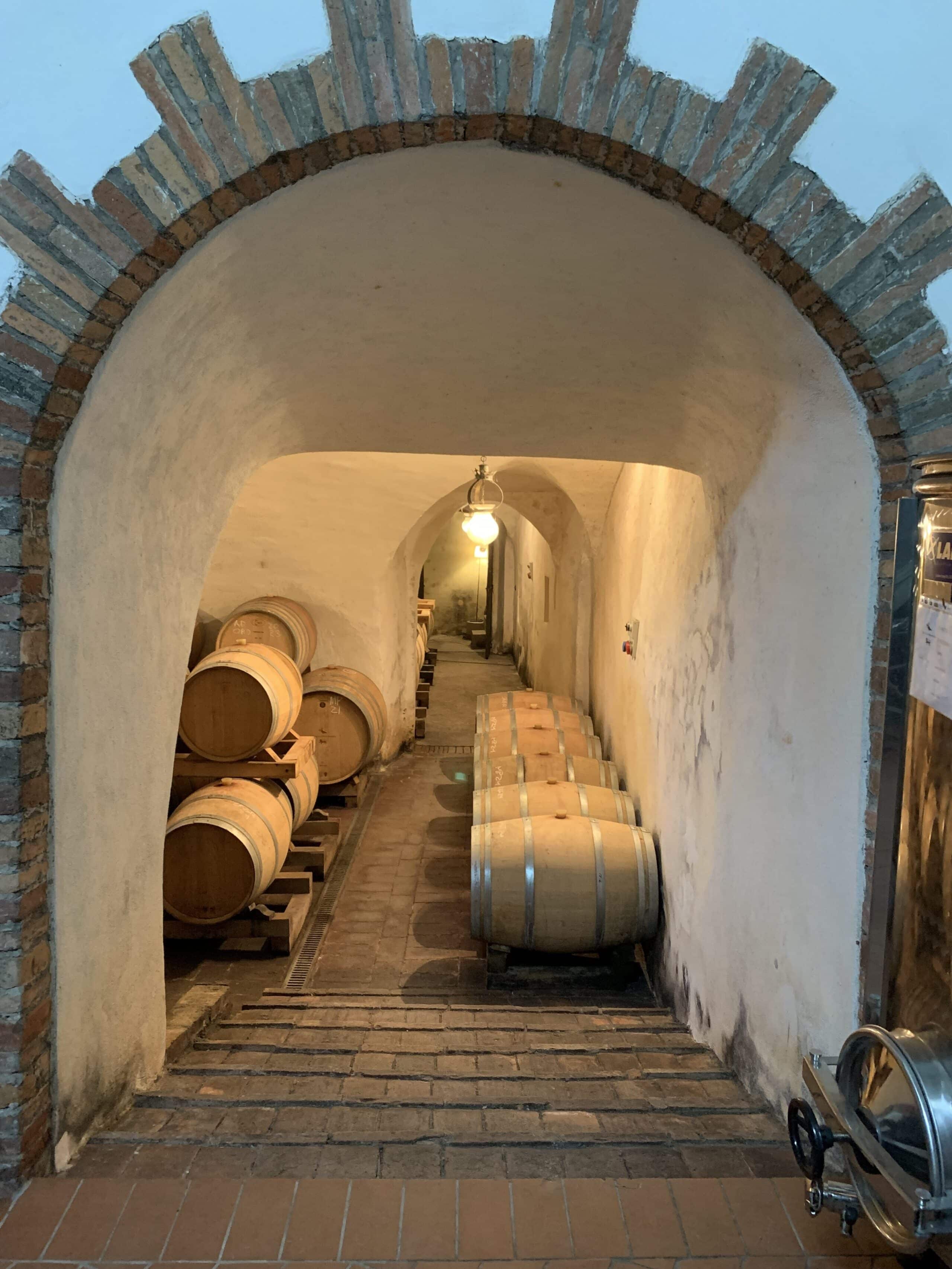 Castello Montegiove Cellar